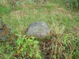 image of grave number 355035